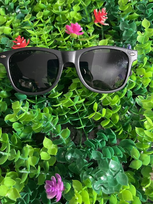 Classic Wayfarer Sunglasses