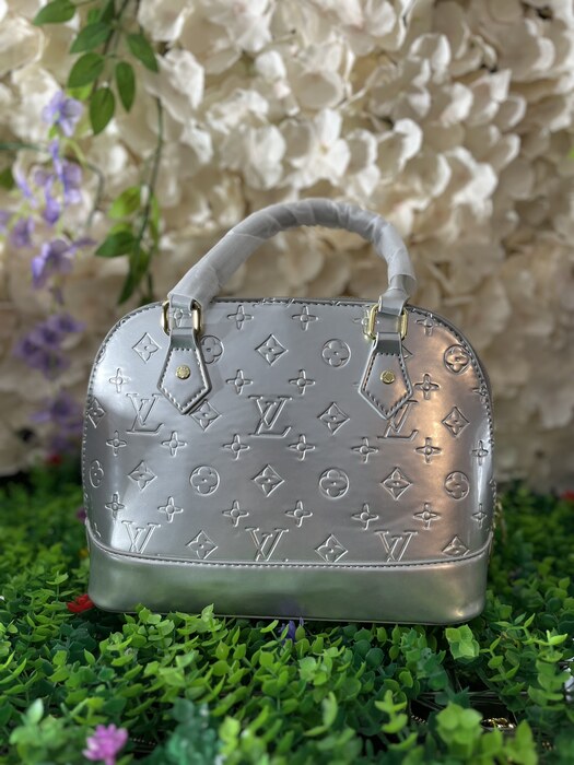Silver Shell Dome Bag